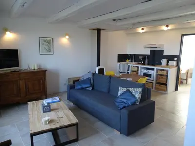 Télévision ou salle de divertissement dans l'établissement La maison de Gaston Port des Barques