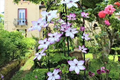 Jardin de l'établissement La Source