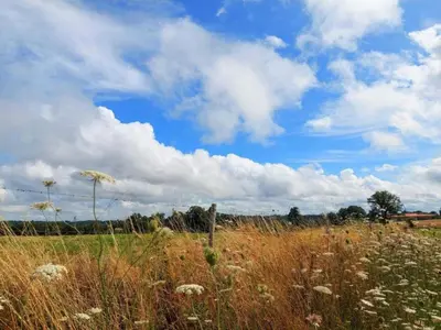 Paysage naturel près de la maison de vacances