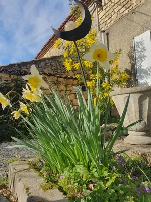 Jardin de l'établissement gîte du luquet