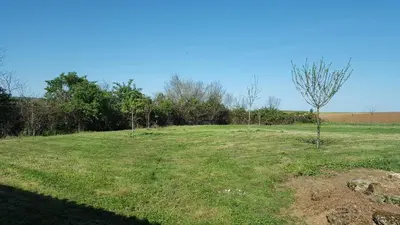 Jardin de l'établissement l' Oiseau Bleu