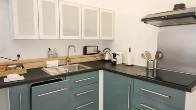 Cuisine ou kitchenette dans l'établissement Residence Pasteur Angouleme