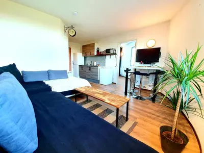 Cuisine ou kitchenette dans l'établissement Logement entier 30m² - 800m du Futuroscope