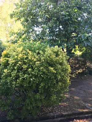 Jardin de l'établissement chambre double avec salle de bain privative
