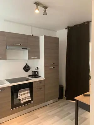 Cuisine ou kitchenette dans l'établissement Le GREEN & PEACE Centre Historique, en face du musée du Pilori, à 2mn à pied de l'hyper centre et proche toutes commodités, WIFI-Netflix