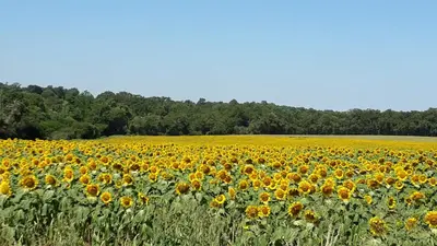 Paysage naturel près de l'appartement