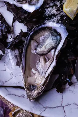 Animaux dans l'hôtel ou à proximité