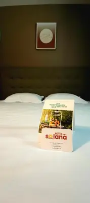 Un ou plusieurs lits dans un hébergement de l'établissement Contact Hôtel Solana, Niort MendesFrance