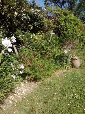 Jardin de l'établissement Les Volets Bleus