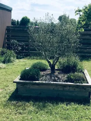 Jardin de l'établissement Cottage du garlai