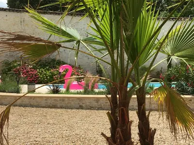 Jardin de l'établissement Le Logis de la Soloire 3 étoiles