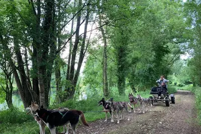 Animaux dans la maison de vacances ou à proximité