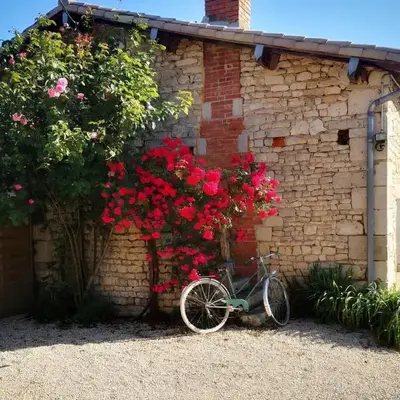 Chalet Nature & chiens de traîneaux