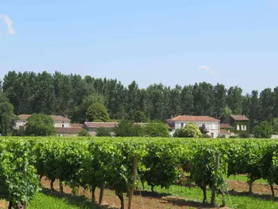 Paysage naturel près de la maison de vacances