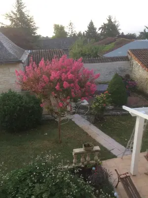 Jardin de l'établissement La Tour de Gué