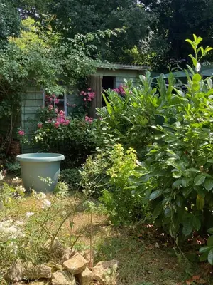 Jardin de l'établissement La Remise