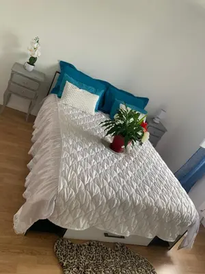Plan de l'établissement Belle Maison avec jardin RDC T3 de 70m2 Vacances ou cure thermale Rochefort