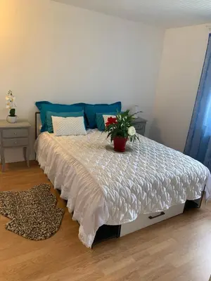 Plan de l'établissement Belle Maison avec jardin RDC T3 de 70m2 Vacances ou cure thermale Rochefort