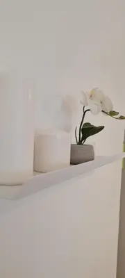 Plan de l'établissement A1 SWEET HOMES Angouleme l Secteur Sillac l Parking gratuit - Animaux acceptés
