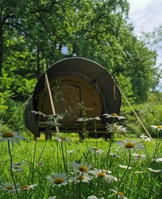 Jardin de l'établissement camping de la chagnée