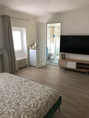Télévision ou salle de divertissement dans l'établissement Résidence Austerlitz centre Angouleme