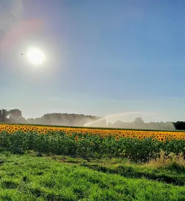 Paysage naturel près de la maison de vacances
