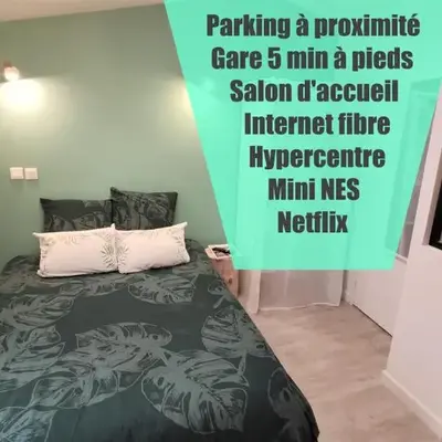 Home&Work301 - HYPERCENTRE - fibre et parking à proximité