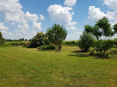 Paysage naturel près de le séjour chez l'habitant