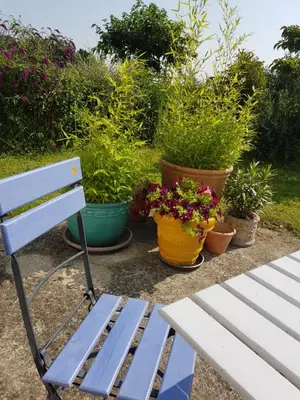 Jardin de l'établissement Chambre avec salle de bains privative