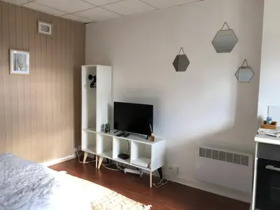 Télévision ou salle de divertissement dans l'établissement Le printemps de mélusine