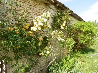 Jardin de l'établissement Le Petit Souhait & Le Verger