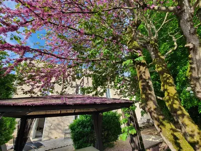 Jardin de l'établissement Maison Laurenza La grande suite 1760