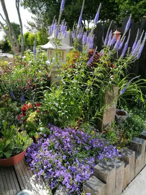 Jardin de l'établissement La croix landolle