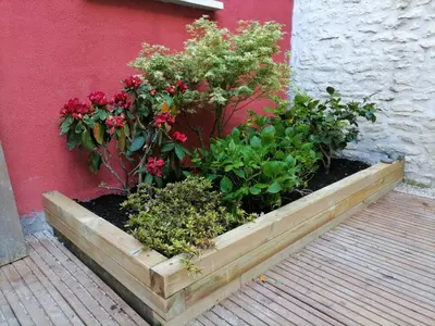 Jardin de l'établissement La croix landolle
