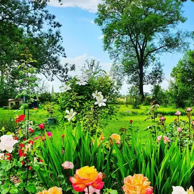 Jardin de l'établissement La Fontenelle Meublé T2
