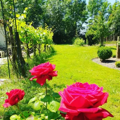 Jardin de l'établissement La Fontenelle Meublé T2