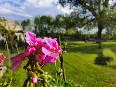 Jardin de l'établissement La Fontenelle Meublé T2
