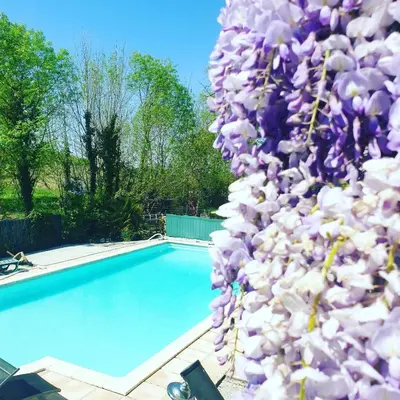 Piscine de l'établissement La Fontenelle Meublé T2 ou située à proximité