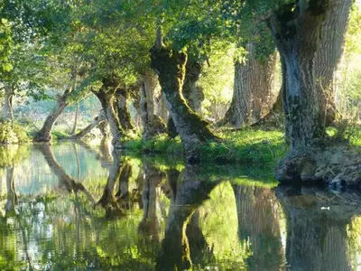 Paysage naturel près de la maison de vacances