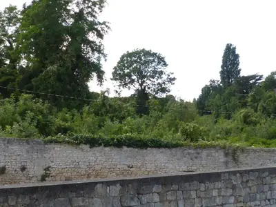 Plan de l'établissement Vert Marin