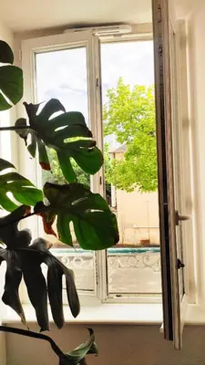 Jardin de l'établissement Votre Escale - Magellan Cinéma