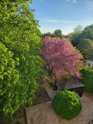 Jardin de l'établissement Maison Laurenza/ La Liversoise