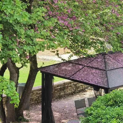 Jardin de l'établissement Maison Laurenza/ La Liversoise