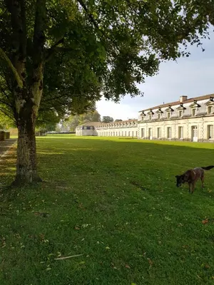 Plan de l'établissement Hôtel Inn Design & Restaurant Rochefort