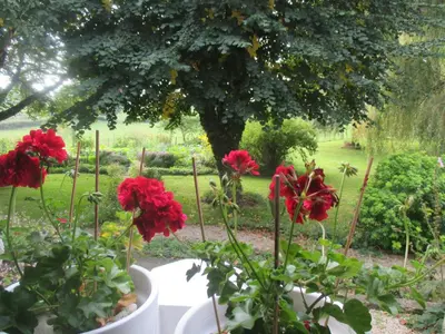 Jardin de l'établissement La Maison près du ruisseau