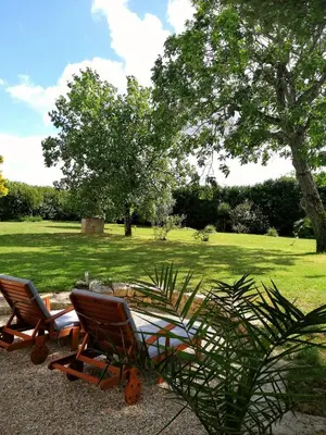 Jardin de l'établissement Gîte dans une ambiance végétale avec Spa privatif