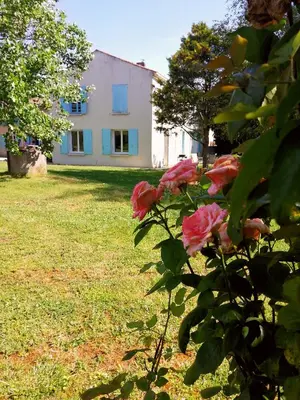 Jardin de l'établissement Gîte dans une ambiance végétale avec Spa privatif