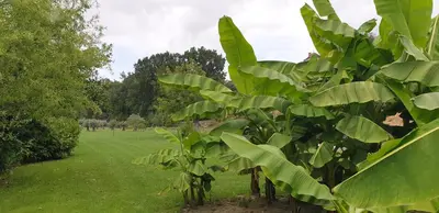 Jardin de l'établissement chambre d'hôtes le moulin d'âne niort