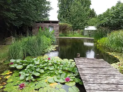 Jardin de l'établissement Roulotte climatisée avec piscine naturelle