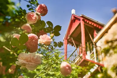 Jardin de l'établissement Le Couvent